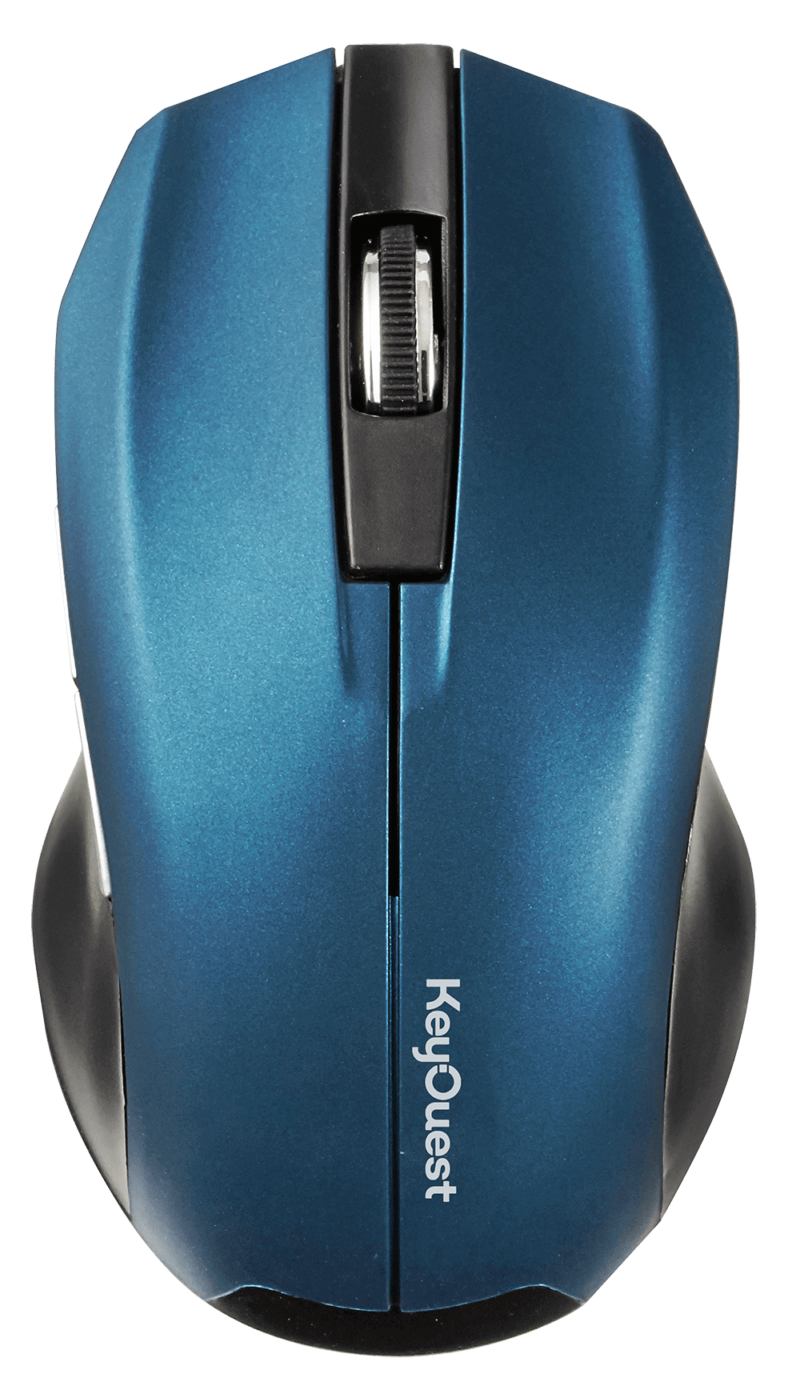 Souris sans fil EXPERT bleu