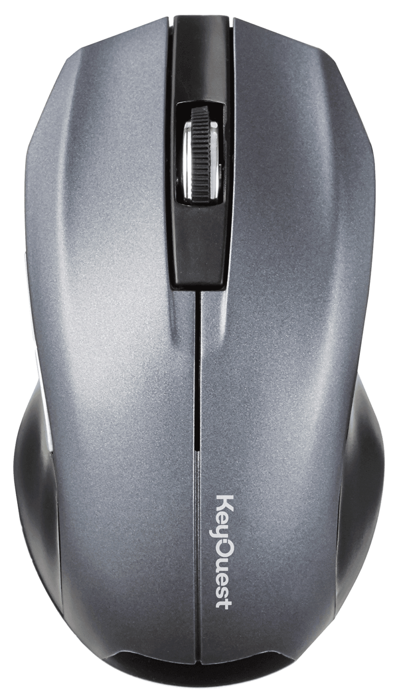 Souris sans fil EXPERT gris