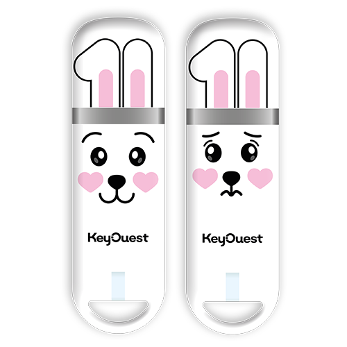 clé USB kawaii blanc Keyouest