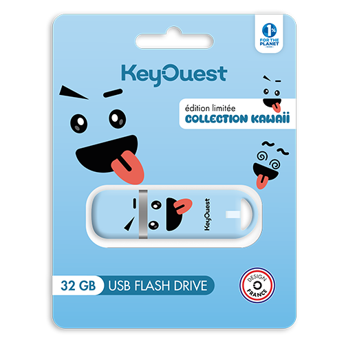 clé USB 32 Go kawaii bleu Keyouest