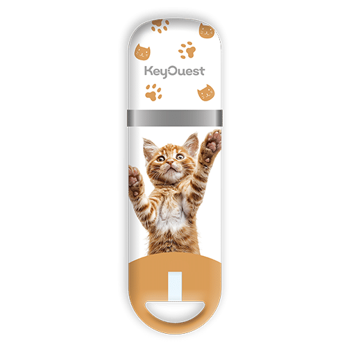 Clé USB Chat Roux Tigrés 32Go