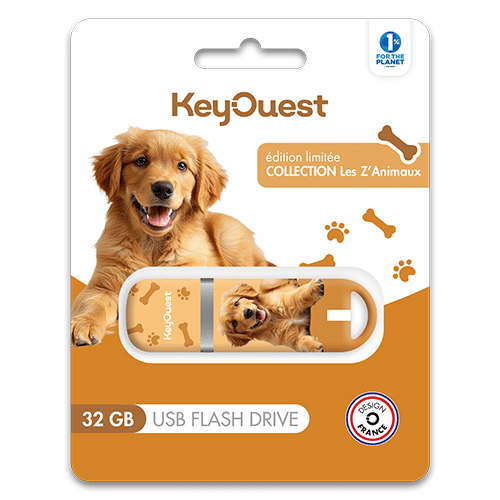 Clé USB Chien Golden