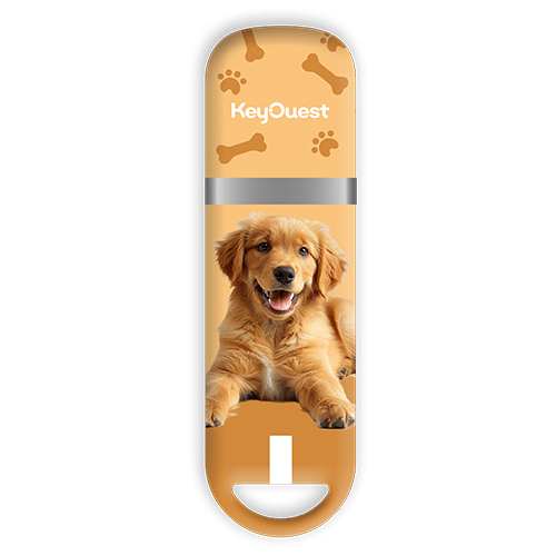 Clé USB Chien Golden 32Go